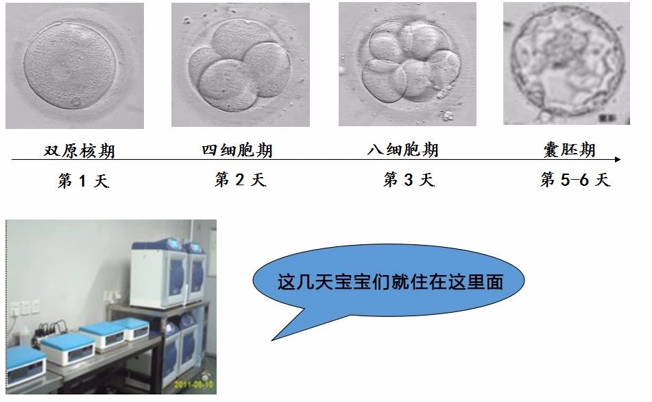 微信图片_20180629154403.jpg