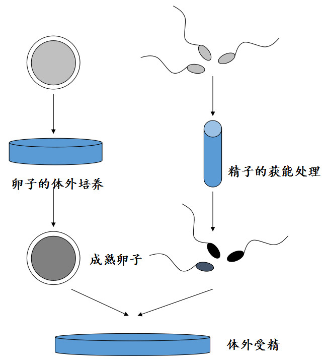 微信图片_20180629154352.jpg